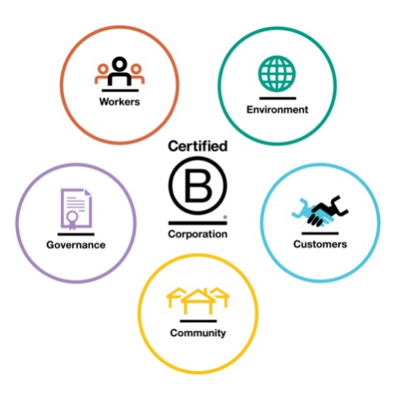 B Corp Impact Areas